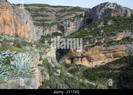 Gorge profonde avec des parois rocheuses abruptes et une rivière, entourée de montagnes riches en végétation, rivière Vero, Alquezar, Alquezar, Huesca, Aragon, Aragon, Pyren Banque D'Images