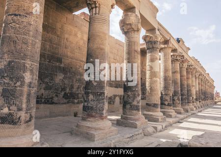 Découvrez les mystères du temple Philae à Assouan, un sanctuaire sacré qui vous transporte au cœur du passé égyptien. Cette photographie capture le Banque D'Images