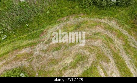 Vue aérienne d'un champ herbeux fraîchement tondu avec des motifs rayés distincts. L'herbe verte contraste avec les zones brunâtres, indiquant St différent Banque D'Images