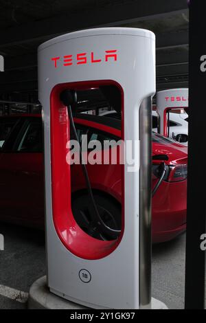 Stavanger, Norvège - 5 août 2024 Une rangée de Superchargeurs Tesla dans un garage de stationnement Banque D'Images