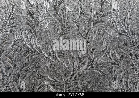 Motif givre sur verre ; hiver ; Royaume-Uni Banque D'Images