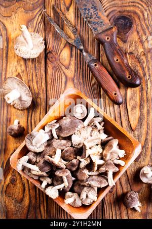 Beau champignon forestier comestible dans un bol en bois Banque D'Images