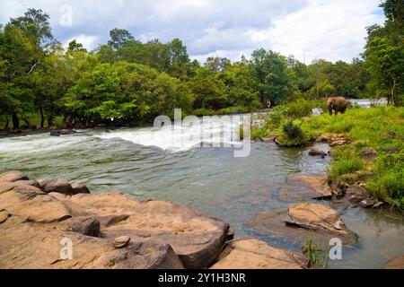 Cascade de Tad lo dans le sud du Laos. Banque D'Images