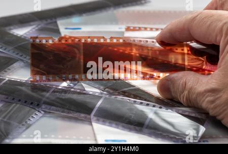 Personne tenant une bande de négatifs de film couleur pour examiner les résultats du traitement. Banque D'Images