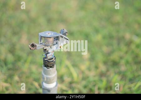 Vue rapprochée d'une tête sprinkleur installée dans une zone herbeuse. L'arroseur est positionné verticalement, entouré d'herbe verte luxuriante, indiquant un puits Banque D'Images