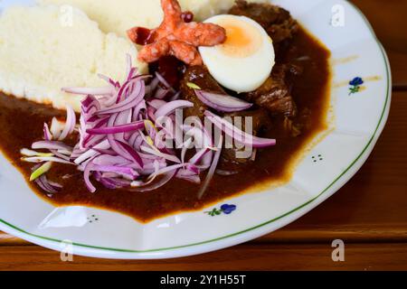 Goulash de bœuf tchèque Cesky Hovezy Gulas avec oignons frais et boulettes de pain au levain Houskove Knedliky Banque D'Images