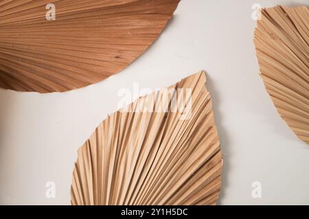 Arrangement esthétique de feuilles de palmier séchées dans différentes nuances de brun et beige, créant une texture naturelle et organique sur un fond clair. Banque D'Images