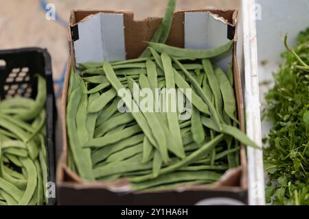 Haricots verts frais dans une boîte au marché Banque D'Images