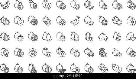 Icônes de fruits tropicaux Collection d'icônes vectorielles de haute qualité avec Stroke modifiable. Idéal pour les projets professionnels et créatifs. Illustration de Vecteur