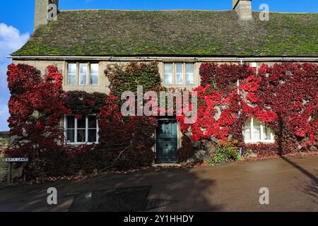 Autumn Ivy sur un chalet à Collyweston village, North Northamptonshire County, Angleterre, Royaume-Uni Banque D'Images