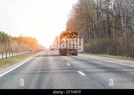 Un camion semi-remorque en bois transporte des billes de bois le long d'une route asphaltée sur fond de coucher de soleil printanier. Journalisation, espace de copie pour le texte Banque D'Images