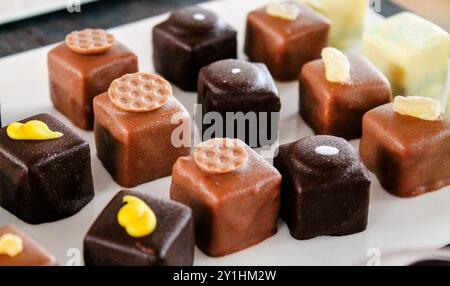 Une vue rapprochée de confiseries au chocolat assorties disposées soigneusement sur une assiette blanche. Les chocolats varient en couleur et texture, avec certains garnis de de Banque D'Images