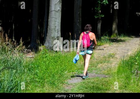 Une femme portant un sac à dos rose marche le long d'un sentier forestier par une journée ensoleillée, entourée de grands arbres et d'herbe verte Banque D'Images