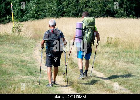 Deux randonneurs marchant le long d'un sentier herbeux avec des sacs à dos et des bâtons de trekking, se dirigeant vers une zone boisée sous la lumière du soleil Banque D'Images