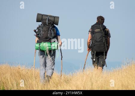 Deux hommes randonneurs personnes marchant loin vue arrière avec des bâtons en bois, sacs, routards, randonnée sur Trip République tchèque Banque D'Images