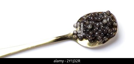 Caviar d'esturgeon noir dans une cuillère en or. Caviar d'esturgeon sur fond blanc Banque D'Images