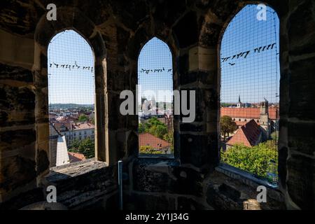 Erfurt, Allemagne. 07 septembre 2024. Vue sur la cathédrale d'Erfurt depuis la tour du Barfüßerkirche. L'événement 'Erfordia turrita' voit dix tours d'église à Erfurt ouvrir leurs portes. Crédit : Jacob Schröter/dpa/Alamy Live News Banque D'Images