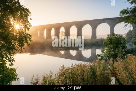 La lumière dorée baigne le paysage entourant le viaduc d'Arthington par une belle matinée d'été, vue depuis les rives de la rivière Wharfe. Banque D'Images