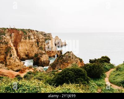 Falaises côtières pittoresques couvertes de verdure, avec des formations rocheuses spectaculaires qui s'étendent dans l'océan calme, offrant une vue imprenable sur le rivage accidenté Banque D'Images