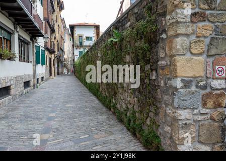 Mur musqué dans une rue de Hondarribia, remarquez le signe « pas de chiens autorisés ». Situé sur la rive la plus proche de l'embouchure de la rivière Bidasoa. C'est la ville espagnole de t Banque D'Images