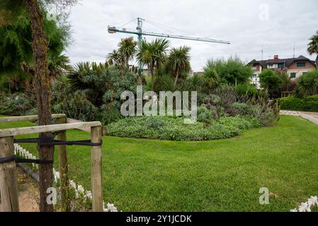 Jardin avec herbe verte, palmiers, fleurs orangées sur la promenade longeant le front de mer de la plage de la Concha à Saint-Sébastien. Avec un con Banque D'Images