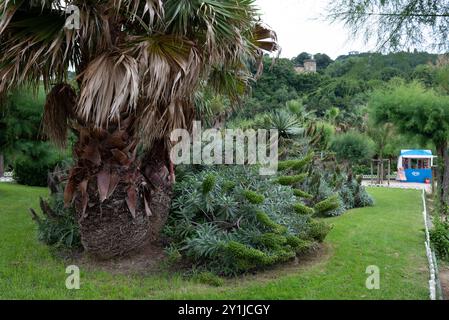 Jardin avec herbe verte, palmiers, fleurs orangées sur le sentier de promenade longeant le front de mer de la plage de la concha à san sebastian in Banque D'Images