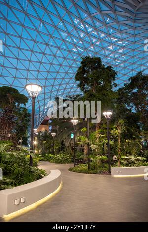 The Orchard, jardin tropical intérieur de l'aéroport de Doha à l'aéroport de Doha Qatar Banque D'Images