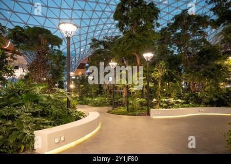 The Orchard, jardin tropical intérieur de l'aéroport de Doha à l'aéroport de Doha Qatar Banque D'Images