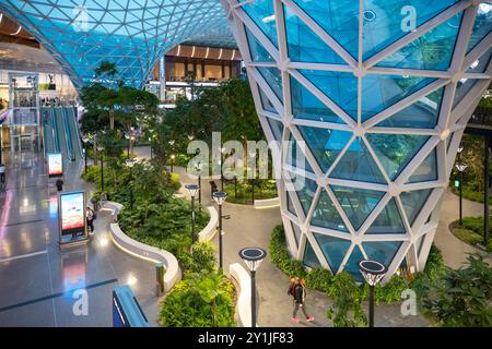 The Orchard, jardin tropical intérieur de l'aéroport de Doha à l'aéroport de Doha Qatar Banque D'Images