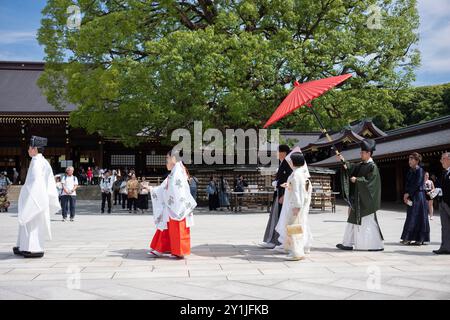 Tokyo, Japon - 15 juin 2024 : une procession traditionnelle japonaise de mariage a lieu au sanctuaire Meiji Jingu au cœur de la ville lors d'un summe Banque D'Images