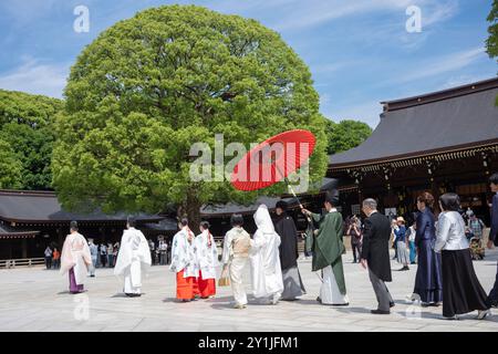 Tokyo, Japon - 15 juin 2024 : une procession traditionnelle japonaise de mariage a lieu au sanctuaire Meiji Jingu au cœur de la ville lors d'un summe Banque D'Images