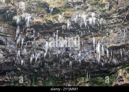 Des glaçons se forment sur les rochers à côté de Hardraw Force un matin de décembre. Banque D'Images