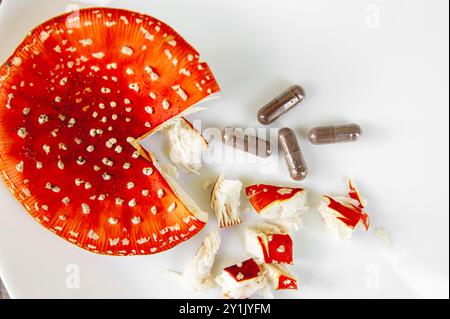 Image conceptuelle de mouche agarique Amanita muscaria pilules médicinales capsules. Mouillez les champignons agariques et les pilules de supplément sur fond blanc, à l'intérieur. Banque D'Images