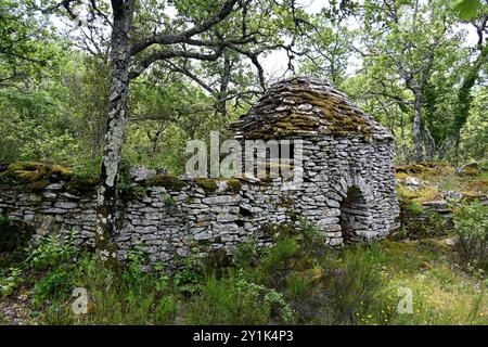 Borie ou refuge en pierre sèche ou abri agricole dans la forêt près de Bonnieux Luberon Provence France Banque D'Images