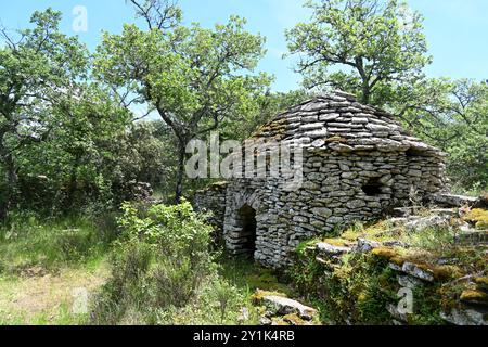 Borie ou refuge en pierre sèche ou abri agricole dans la forêt près de Bonnieux Luberon Provence France Banque D'Images