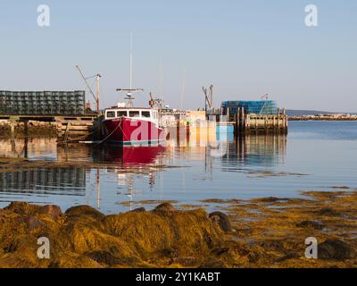 Les bateaux de pêche aux couleurs vives, ornés de pièges à homard, sont amarrés dans les eaux calmes et claires, tandis qu'un tas d'algues repose près du rivage. Ceci Banque D'Images