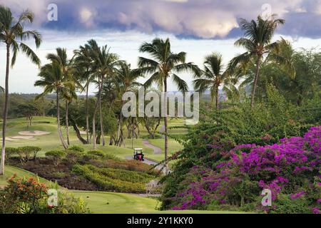 Beauté tr5opical luxuriante de Wailea. Banque D'Images