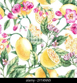 Aquarelle motif botanique dessiné à la main floral Banque D'Images
