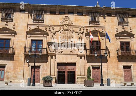 Entrée d'un bâtiment historique avec des murs en pierre et des arches, décoré de drapeaux et de lanternes sous un ciel ensoleillé, Palacio de los Condes de Gomara, Pa Banque D'Images