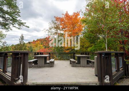 Chutes de la rivière du Diable (chutes de la rivière du Diable) admirez les paysages d'automne. Parc national du Mont-Tremblant, Québec, Canada. Banque D'Images