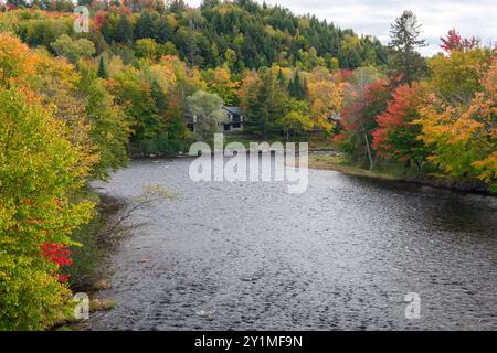 Chutes de la rivière du Diable (chutes de la rivière du Diable) admirez les paysages d'automne. Parc national du Mont-Tremblant, Québec, Canada. Banque D'Images