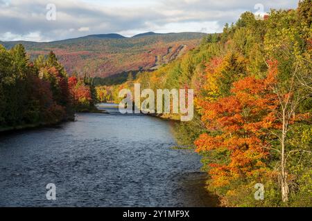 Chutes de la rivière du Diable (chutes de la rivière du Diable) admirez les paysages d'automne. Parc national du Mont-Tremblant, Québec, Canada. Banque D'Images