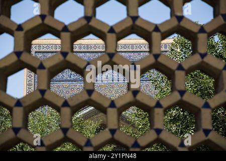 Mur décoré de mosaïque avec arabesques, vu à travers une grille floue Banque D'Images