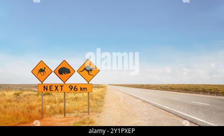 Un panneau routier australien sur l'Eyre Highway en Australie occidentale, avertissant des dangers des Wombats, des chameaux et des kangourous. Banque D'Images