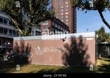 Pigeonnier sur la rue Hansaring, derrière le bâtiment Hansa, Cologne, Allemagne. Dans le pigeonnier, les animaux sont pourvus d'espèces Banque D'Images