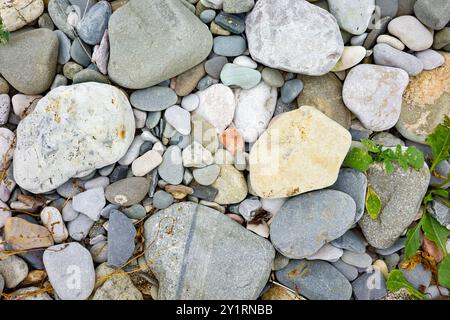 Assortiment de pierres de tailles et de couleurs variées sur un rivage de plage. Banque D'Images