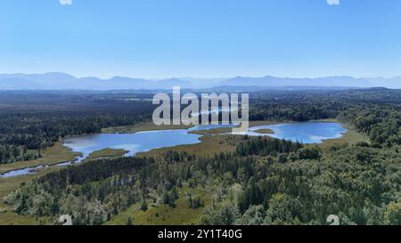 Seeshaupt, Bayern, Deutschland 07. Septembre 2024 : Ein Sommertag BEI Seeshaupt Landkreis Weilheim-Schongau. Hier der Blick per Drohne auf die Ausläufer der Osterssen mit dem Lustsee re. im Hintergrund die Alpenkette , Natur *** Seeshaupt, Bavière, Allemagne 07 septembre 2024 Une journée d'été près du quartier de Seeshaupt Weilheim Schongau ici la vue par drone sur les contreforts de l'Osterssen avec le Lustsee re en arrière-plan la chaîne alpine , nature Banque D'Images