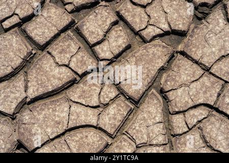 Terre fissurée sans longue période pluvieuse. L'effet du réchauffement climatique Banque D'Images