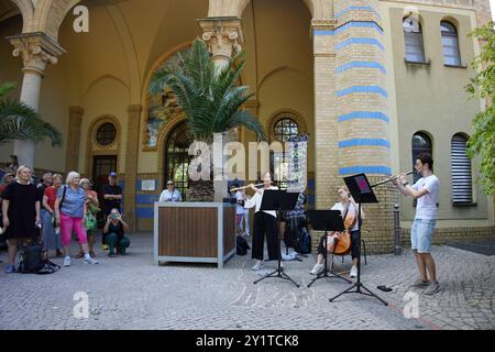 Berlin, Allemagne. 08 septembre 2024. Les membres de l'Orchestre symphonique allemand (DSO) se produisent devant la Maison antilope dans le cadre de la campagne « DSO at the Zoo ». Entre midi et 17 h, de petits ensembles seront en déplacement à divers endroits du zoo, divertissant les visiteurs avec de la musique classique. Crédit : Jörg Carstensen/dpa/Alamy Live News Banque D'Images