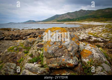 Lariño, Galice, Espagne. Côte atlantique rugueuse sur la côte de la mort dans la province de Carnota Banque D'Images